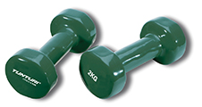 dumbells