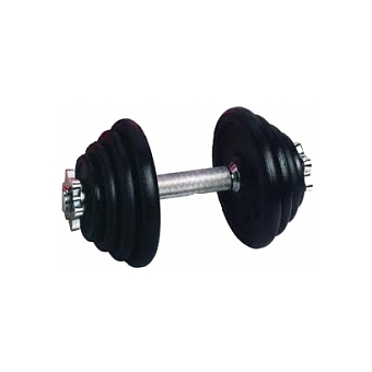 nooit Andrew Halliday hoe vaak Dumbbell 15 kg uitverkocht - Fitness en Budo shop